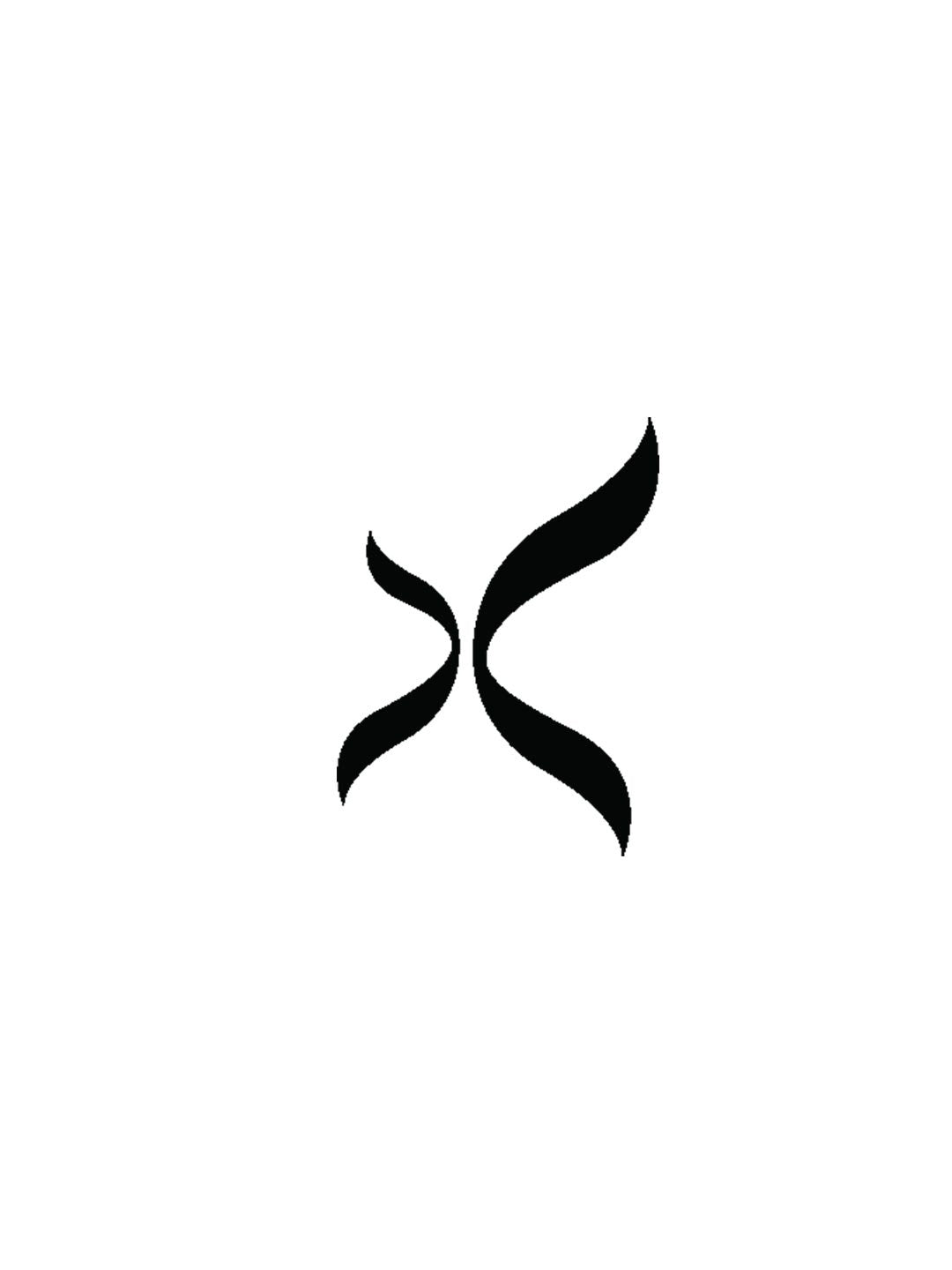 Donatella Pointe Shoe with #3 Shank and Moderate Toe Box - Capezio Trending